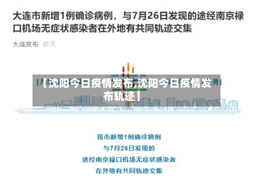 【沈阳今日疫情发布,沈阳今日疫情发布轨迹】-第3张图片