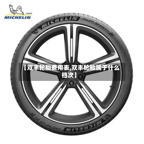 【双丰轮胎费用表,双丰轮胎属于什么档次】-第2张图片