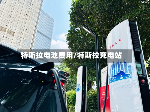 特斯拉电池费用/特斯拉充电站-第2张图片