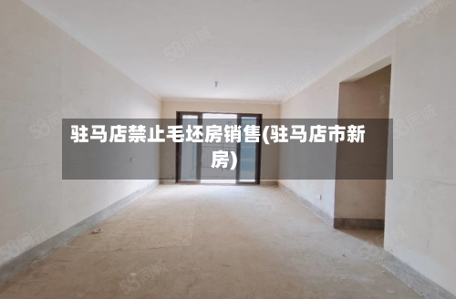 驻马店禁止毛坯房销售(驻马店市新房)