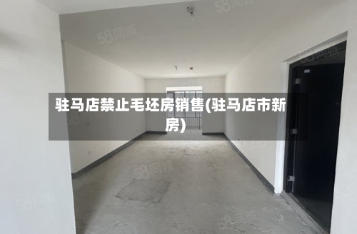 驻马店禁止毛坯房销售(驻马店市新房)-第3张图片