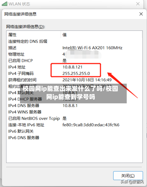校园网ip能查出来发什么了吗/校园网ip能查到学号吗-第3张图片