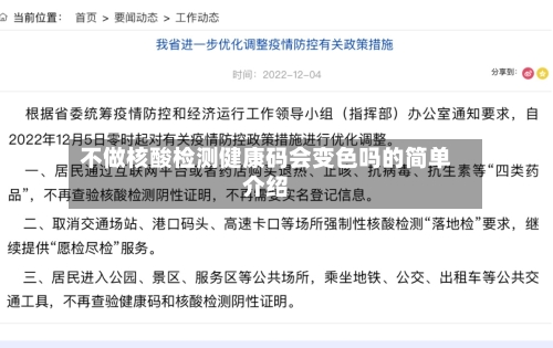 不做核酸检测健康码会变色吗的简单介绍-第3张图片