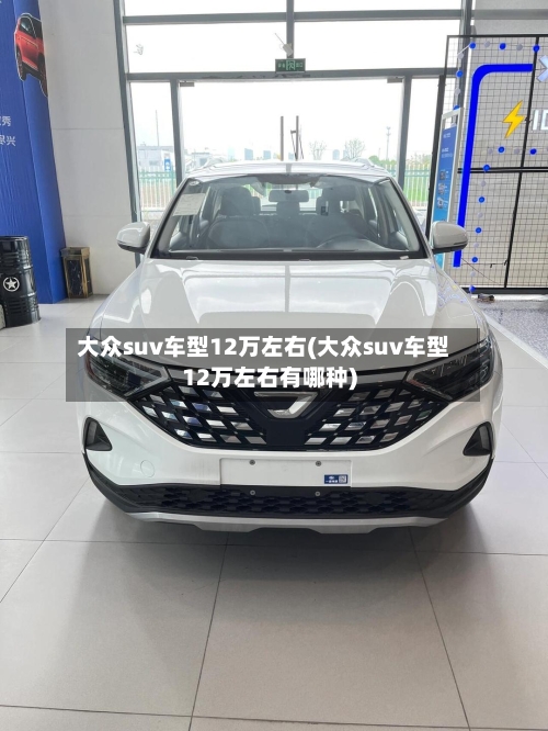 大众suv车型12万左右(大众suv车型12万左右有哪种)