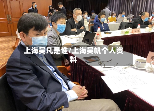 上海吴凡是谁/上海吴帆个人资料-第3张图片