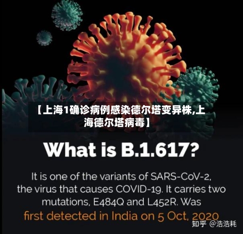 【上海1确诊病例感染德尔塔变异株,上海德尔塔病毒】