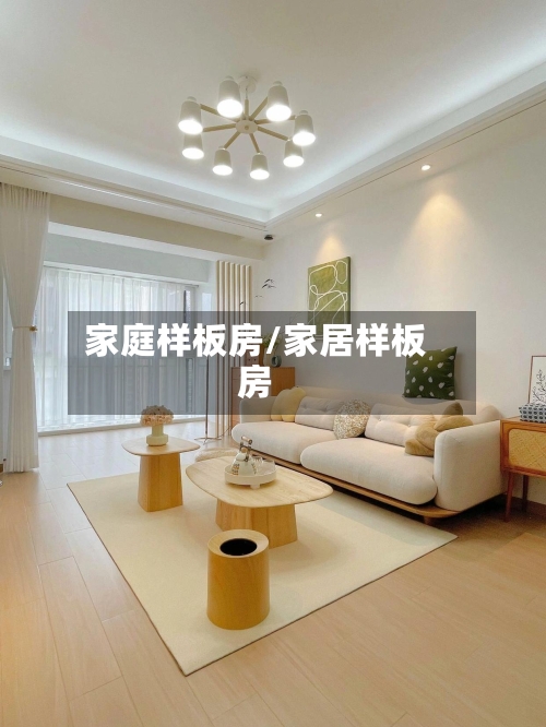 家庭样板房/家居样板房