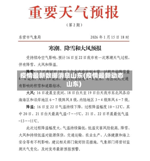 疫情最新数据消息山东(疫情最新动态山东)-第2张图片