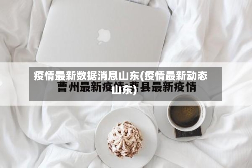 疫情最新数据消息山东(疫情最新动态山东)-第3张图片