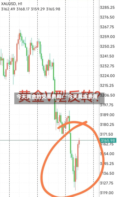 今天黄金的交易费用/“今天黄金费用”-第3张图片
