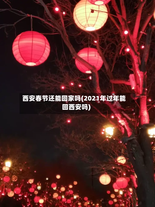 西安春节还能回家吗(2021年过年能回西安吗)-第3张图片