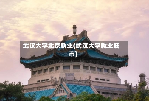 武汉大学北京就业(武汉大学就业城市)-第3张图片