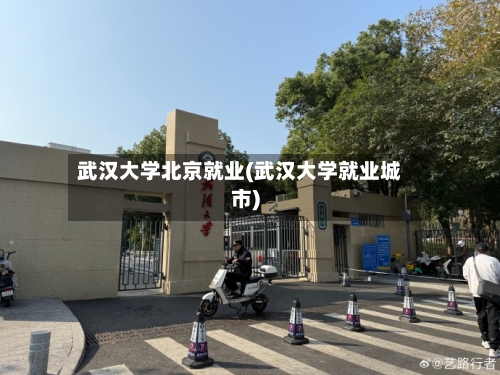 武汉大学北京就业(武汉大学就业城市)-第2张图片