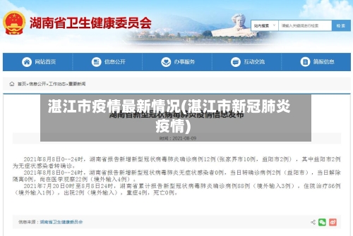 湛江市疫情最新情况(湛江市新冠肺炎疫情)-第2张图片
