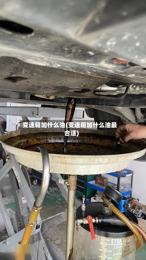 变速箱加什么油(变速箱加什么油最合适)-第3张图片