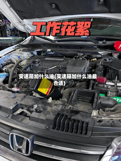 变速箱加什么油(变速箱加什么油最合适)