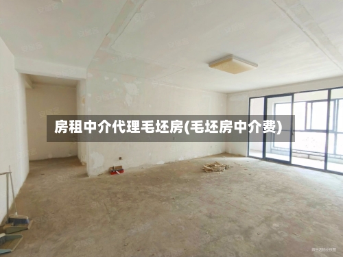 房租中介代理毛坯房(毛坯房中介费)-第3张图片