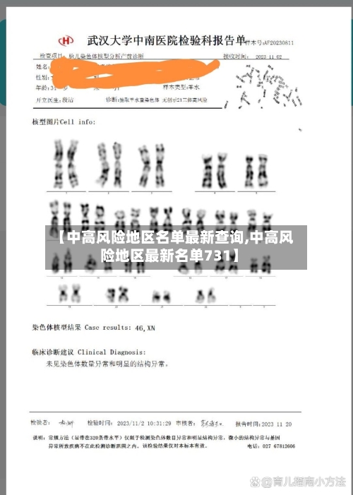 【中高风险地区名单最新查询,中高风险地区最新名单731】-第2张图片
