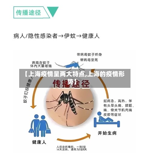 【上海疫情呈两大特点,上海的疫情形势】-第2张图片