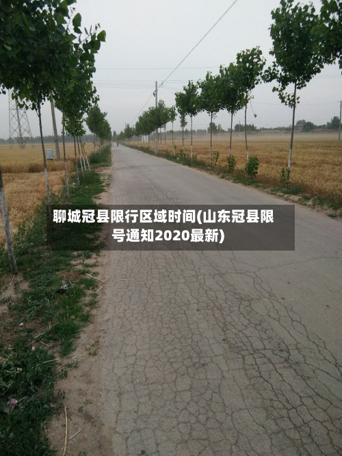 聊城冠县限行区域时间(山东冠县限号通知2020最新)-第2张图片