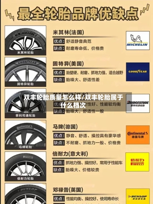 双丰轮胎质量怎么样/双丰轮胎属于什么档次-第3张图片