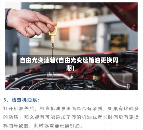 自由光变速箱(自由光变速箱油更换周期)-第2张图片