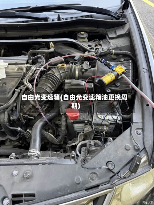 自由光变速箱(自由光变速箱油更换周期)