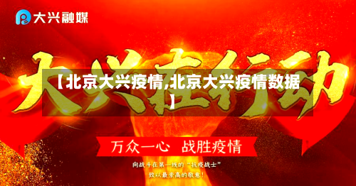 【北京大兴疫情,北京大兴疫情数据】-第3张图片