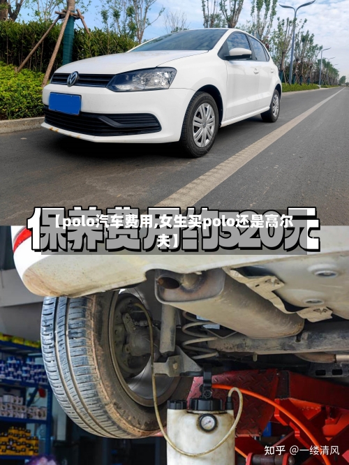 【polo汽车费用,女生买polo还是高尔夫】-第3张图片