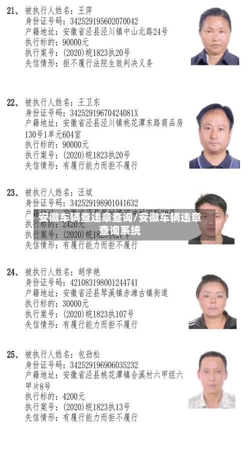 安徽车辆查违章查询/安徽车辆违章查询系统