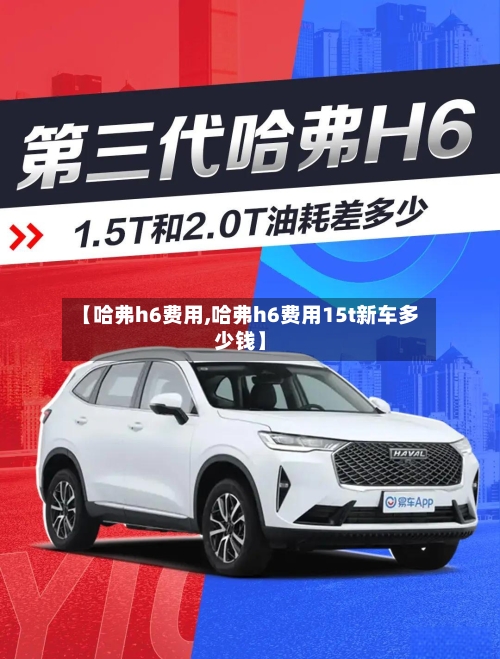 【哈弗h6费用,哈弗h6费用15t新车多少钱】-第2张图片