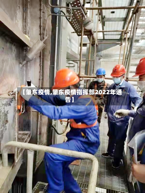 【肇东疫情,肇东疫情指挥部2022年通告】-第2张图片
