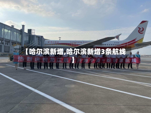 【哈尔滨新增,哈尔滨新增3条航线】-第2张图片