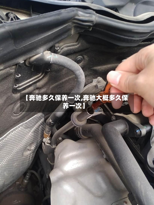 【奔驰多久保养一次,奔驰大概多久保养一次】