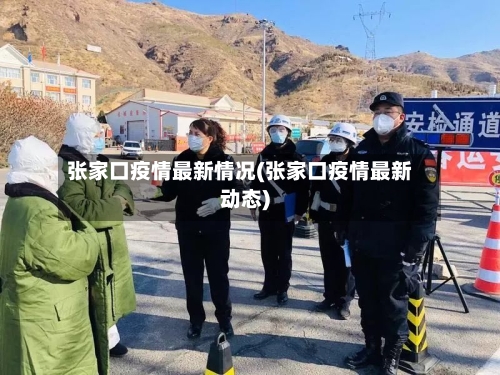 张家口疫情最新情况(张家口疫情最新动态)-第2张图片