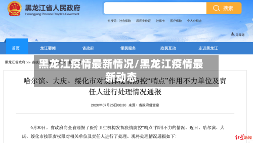 黑龙江疫情最新情况/黑龙江疫情最新动态-第3张图片