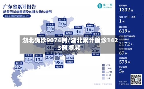 湖北确诊9074例/湖北累计确诊1423例 视频