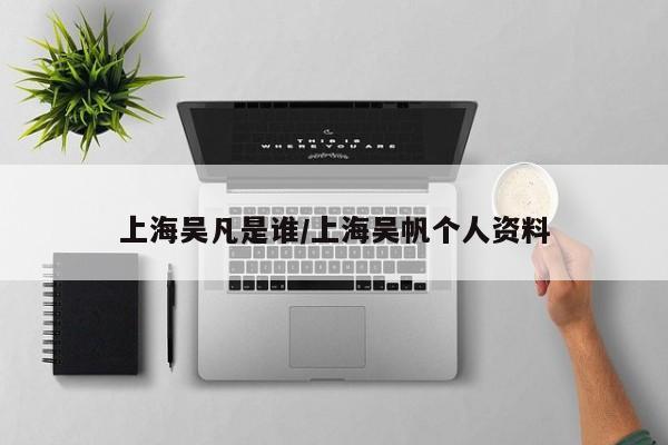 上海吴凡是谁/上海吴帆个人资料