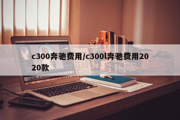 c300奔驰费用/c300l奔驰费用2020款