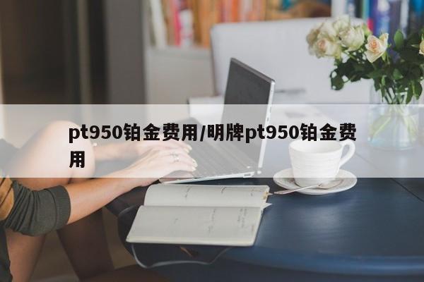 pt950铂金费用/明牌pt950铂金费用