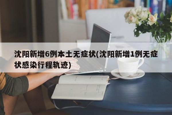 沈阳新增6例本土无症状(沈阳新增1例无症状感染行程轨迹)