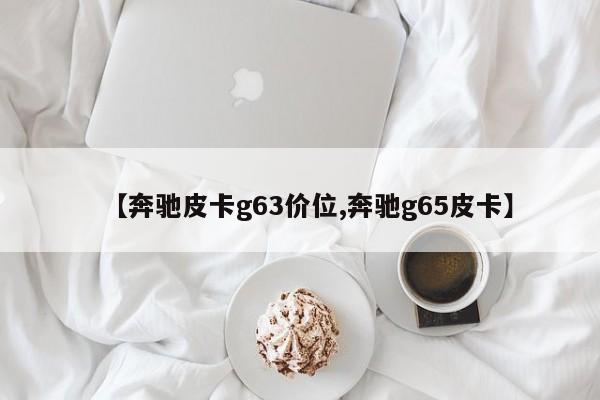 【奔驰皮卡g63价位,奔驰g65皮卡】