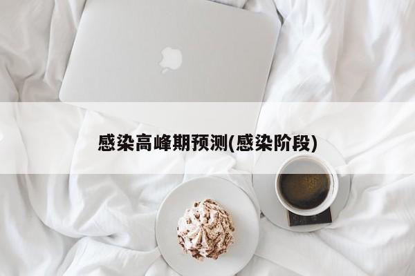 感染高峰期预测(感染阶段)